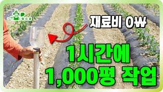 1시간에 1,000평 작업!!ㅣ 재료비 0원!! ㅣ 농사 편하게 짓는 방법