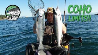 Coho LIMITS trolling off kayak on Vancouver Island