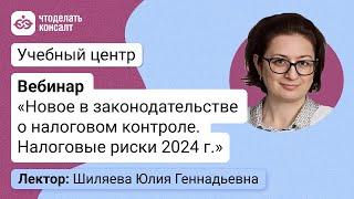 Новое в законодательстве о налоговом контроле. Налоговые риски 2024 г.