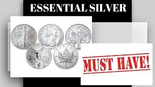 MUST HAVE ITEMS EVERY SILVER STACKER SHOULD HAVE///New Silver Stackers Should BUY these NOW///