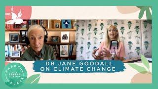 Dr Jane Goodall on Ecoanxiety, the Power of Politicians and Why Individual Actions Make a Difference