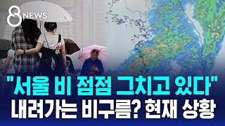 "서울 비 점점 그치고 있다" 내려가는 비구름? 현재 상황 / SBS 8뉴스
