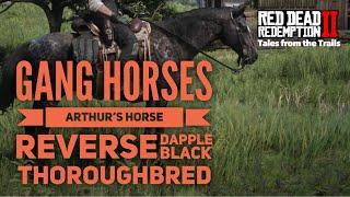 Red Dead Redemption 2: Gang Horses - Arthur's Horse - Reverse Dapple Black Thoroughbred