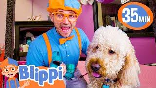 Blippi Visits a Pet Salon! | BEST OF BLIPPI TOYS | Cute Animal Videos for Kids