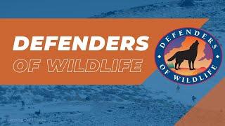 Defenders of Wildlife