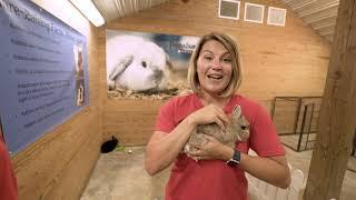 Take a Virtual Field Trip To Purina Farms