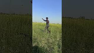 #Gham_Lagata_Ae_Raja_Viral_Dance_shorts_video #prayagraj_Somit_Patel_Videos