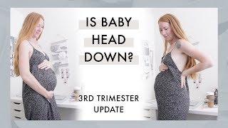 25 — 28 Weeks Pregnancy Update | 3rd Trimester, Head Down, Hypnobirthing ?!