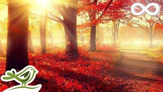 Beautiful Romantic Music: Relaxing Music, Piano Music, Violin Music, Guitar Music, Sleep Music 101