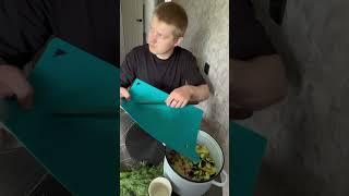 Как то так |еланцевы #юмор #еланцевы #семья #рек