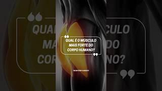 Qual é o músculo mais forte do corpo? 