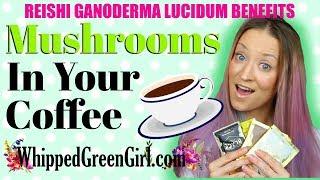 Reishi Ganoderma Lucidum Benefits