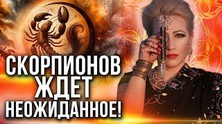 ОРАКУЛ ШОКИРОВАЛ ПРЕДСКАЗАНИЕМ ДЛЯ СКОРПИОНОВ В РАЗНЫХ СФЕРАХ! Мария Ланг