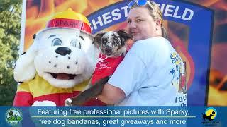 Chesterfield County celebrates National Dog Day