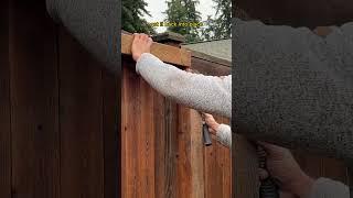 Fence Repair Gone Wrong… #diy #diyhacks #diyprojects #diyviral #fixit #howto #funny #viral #fyp