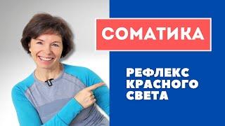 #9 Соматика. Рефлекс красного света.