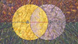 Sacred Geometry 101C: The Sacred Languages