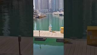 Dubai travel vlog #ytshorts #trending #dubai