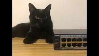 【连续普通开箱】全屋千兆WiFi之硬件篇——POE交换机|[Unboxing] Huawei 52 ports POE switch