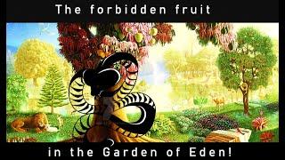 The forbidden fruit in the Garden of Eden!