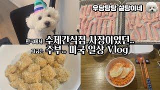 미국 집￼에서 떡을 만들어? | 전)수제간식점 사장이 미국에서 만드는 칠면조져키 | 생일 | 남편 출장 전 요리 | 강아지 케이크 | 카스테라 단호박 인절미 | OKC Vlog