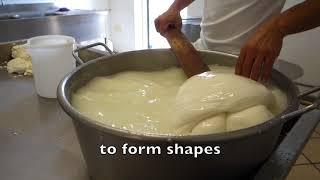 Making Mozzarella and Burrata by Hand in Italy