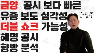 금양 언론에서 8000억 유상 증자 보도에 해명은 "미확정" 앞으로 걱정 되는 부분과 분석