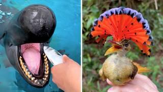 10 Strange Creatures You Didn’t Know Exist!