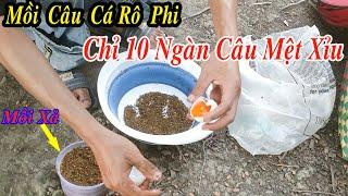 Mồi Câu Cá Rô Phi Siêu Tanh Chưa Tới 10 Ngàn Cá Ăn Giật Mỏi Tay