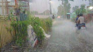 Super heavy rain Strong winds in my village sleep instantly because of the sound of heavy rain ASMR