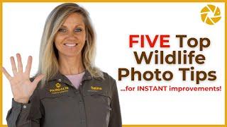 INSTANTLY IMPROVE Your Wildlife Photography!