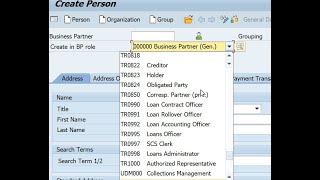 Business Partner Role not found in Transaction BP - SAP S/4HANA Tips