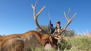 Melissa Bachman Elk- Old School Western Elk- Winchester Deadly Passion Season 3