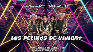 LOS FELINOS DE YUNGAY MI FLAQUITA 2024