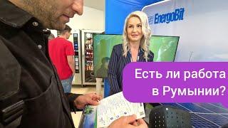 Работа в Румынии. Ярмарка вакансий в Клуж Напока #румыния #клужнапока