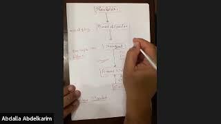 why IFRS ليه أدرس