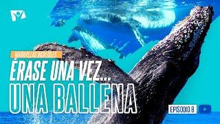 ÉRASE UNA VEZ... UNA BALLENA  Maravillas Increíbles 8