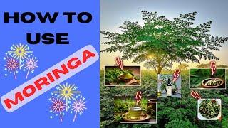 How to Use Moringa