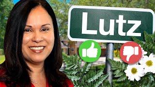 The Pros and Cons of Living in Lutz Florida (from a local)