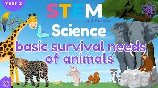 Basic Survival Needs Of Animals | KS1 Science Year 2 | STEM Home Learning