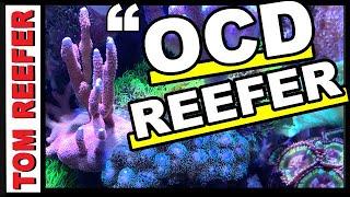 A SUPER EASY GUIDE - TO A STABLE REEF TANK