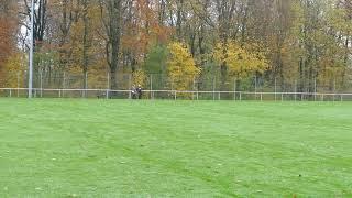 Wuppertaler SV Training (15.11.2024)