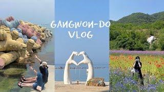 Vlog ㅣ 삼척, 동해, 강릉, 평창, 춘천 여행 ㅣ 3박 4일 강원도 브이로그 ㅣ