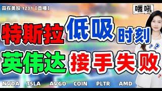 股票|美股|美股分析|特斯拉低吸时刻？英伟达接手失败？#NVDA#TSLA#AVGO#COIN#PLTR#AMD