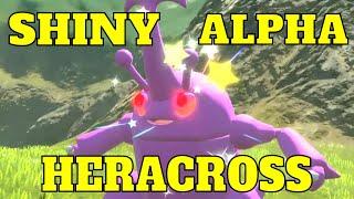 Shiny Alpha Heracross Only 20 Encounters! - Pokemon Legends Arceus