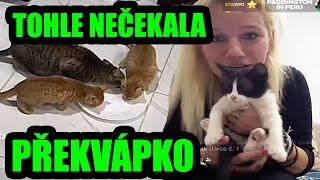 TA RŮŽOVÁ MÁ 4 KOČIČKY!!! TOHLE MIRUNA ROZHODNĚ NEČEKALA!! NECHÁ SI JE NEBO JE VYHODÍ NA ULICI?!