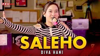 SALEHO - DIVA HANI (OFFICIAL MUSIC VIDEO)