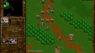 Warcraft 2 World Champion ViRuZ Explains Pro Level Strategy with Top Player Sepi