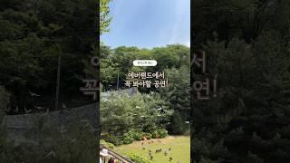 에버랜드에서 꼭 봐야할 공연 #판타스틱윙스 #에버랜드공연