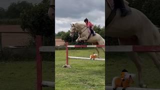 Chasing Highs Ivy & Ace #horse #showjumping #equestrian #equestrianrider #jumping #pony #showjump